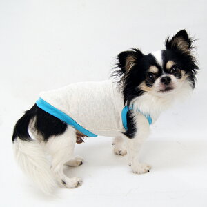 ^NgbvtBbg^Cv ^̑TCYXL&XXL