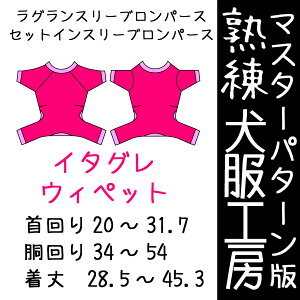 nH[p[XEC^AO[nEh6TCY(΂΂)