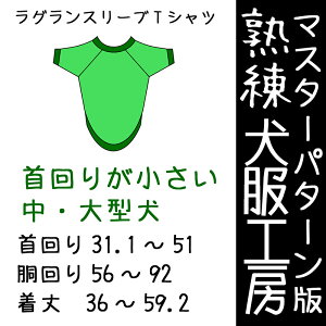 nH[TVc肪Ȓ^E^7TCY(΂΂)