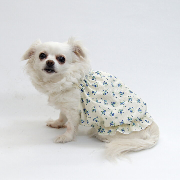 楽天市場】イージーキャミバルーン型紙 eco印刷 小型犬向け : CELEBDOG