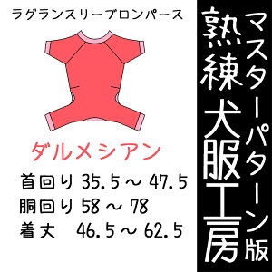 nH[OX[up[XE_VATCY(΂΂)