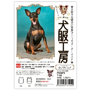 ^Ngbv^@nClbNt@~js@PSS&PSTCY