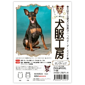 ^Ngbv^@nClbNt@~js@PXXL&PXXXLTCY