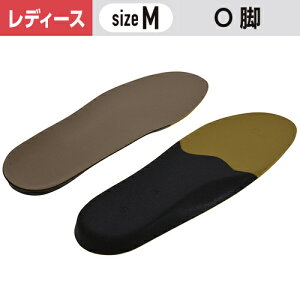 C\[v fB Or΍ MTCY(23`23.5cm) m1n p fB[X Or # Cp ~ C\[ d pvX w ΍ T|[g