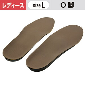 C\[v fB Or΍ LTCY(24`25cm) m1n p fB[X Or # Cp ~ C\[ d pvX w ΍ T|[g