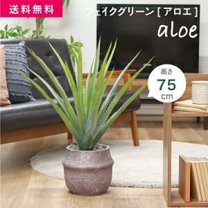 FJ tFCNO[ ϗtA AG M Zg|bg [E^] 75cm 6.44kg O[ [41136]#tFCNO[ ϗtA CeA A tFCN sf