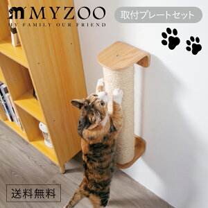 MYZOO }CY[ CYLINDER V_[ tv[gZbg ܂Ƃ|[ y1Zbgz #L Lbg  I AN Ǖt X^CbV