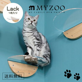 MYZOO マイズー ROUND LACK ラウンドラック CLEAR 透明 アクリル キャットステップ 【1セット】 #猫 キャット ウォーク ステップ タワー おしゃれ 棚 アクリル 壁付け スタイリッシュ