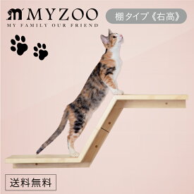 MYZOO マイズー MYZOO-ZONE 右高 ゾーン キャットステップ 棚タイプ(右高) 【1セット】 #猫 キャット ウォーク ステップ タワー おしゃれ 棚 アクリル 壁付け スタイリッシュ