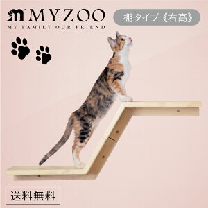 MYZOO }CY[ MYZOO-ZONE E ][ LbgXebv I^Cv(E) y1Zbgz #L Lbg EH[N ^[  I AN Ǖt