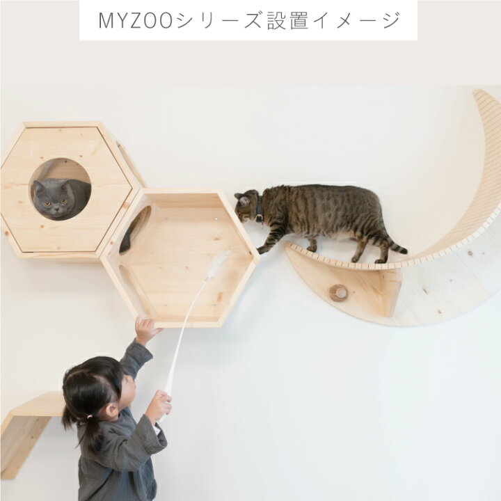 楽天市場】MYZOO マイズー ROUND LACK ラウンドラック CLEAR 透明 