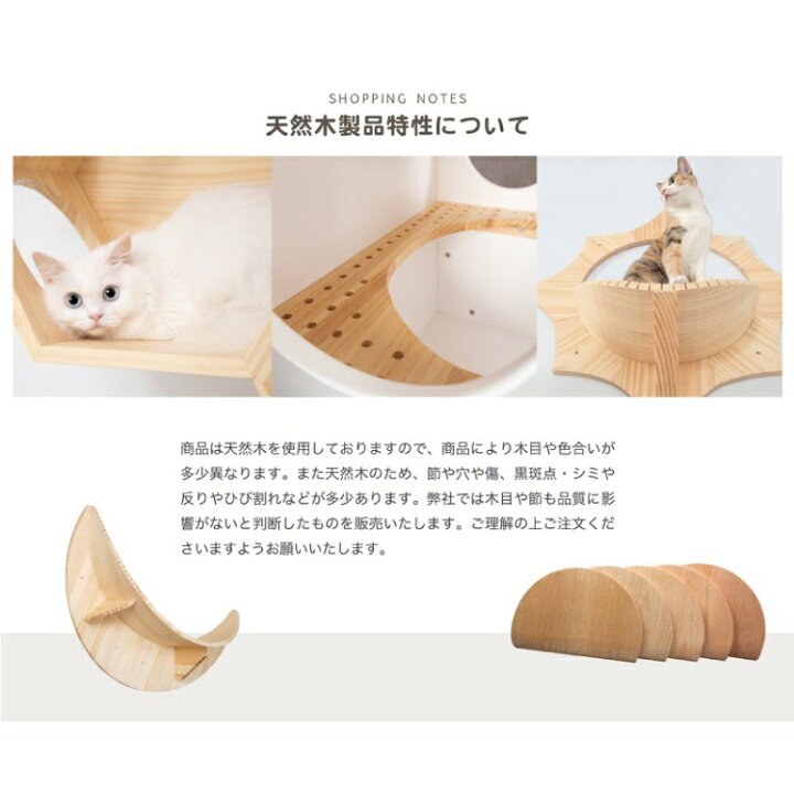 楽天市場】MYZOO マイズー ROUND LACK ラウンドラック CLEAR 透明 