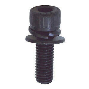 ΂ˍISOgZpt{g I[3 M8X25 y10{z Lbv CAP W SW ol 6p ˂ lW