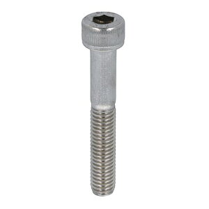 チタン六角穴付ボルト M3X10 【100本】 キャップ CAP 6角 6カク bolt nut 八幡ねじ ネジ