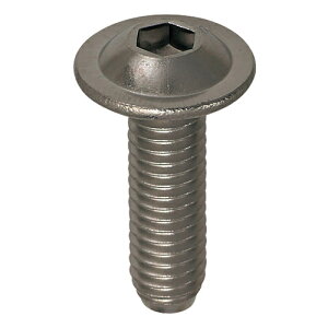 �t�����W�t�Z�p���t�{�^���L���b�v M5X20 �y500�{�zCAP �L���b�v�{���g 6�p 6�J�N bolt nut �����˂� �l�W