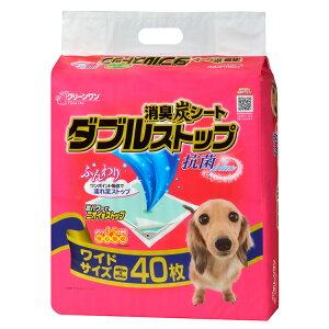 JL LYV[g_uXgbvCh40 y4z#ybgpi ybgph h tF[Yt[  L ~