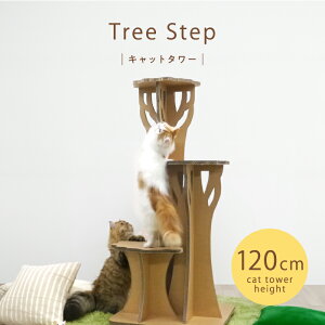 KM c[Xebv-Lbg^[ KM-AW-017-01 y1z#Tree Step paper new standard JO`}bNH KAWAGUCHI MAC DISPLAY ˂  Ƌ i{[ Re-board y v