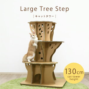 KM [W c[Xebv-Lbg^[ KM-AW-017-02 y1z#Large Tree Step paper new standard JO`}bNH KAWAGUCHI MAC DISPLAY ˂  Ƌ i{[ Re-board y v