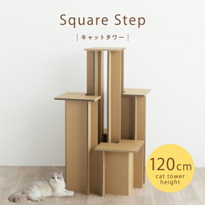 KM XNGAXebv-Lbg^[ KM-AW-024-01 y1z#Square Step paper new standard JO`}bNH KAWAGUCHI MAC DISPLAY ˂  Ƌ i{[ Re-board y v