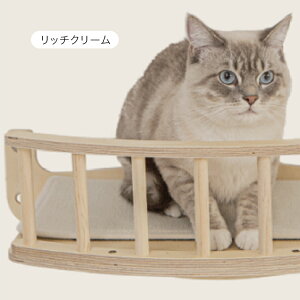 NC EBhLbgEH[NzՕtLTCY J[ _O[/b`N[ #lRVA necocia ˂ catwalk ybg