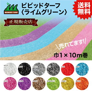 UN yK̔Xzrrbh^[t CO[ 1m×10m (Œ28mm) VT-LGN-0110 lH  12F [   lH #DIYŊȒP{H ߂̐lH ŐlC̏i