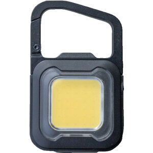 TR ���T�V �[�d���X�[�p�[�t���b�V�����C�g6W�u���b�N �y�i�� : COB-WL005BK 7051�z �y4735939�z