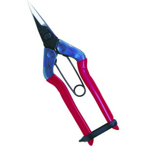 TR �`�J�}�T �E����