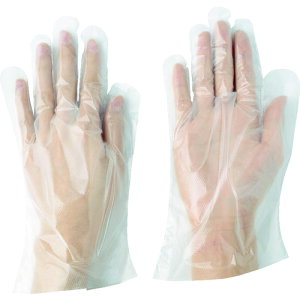 TR �쐼 �|���G�`������܃J�^�G���{�X (1�� (��) ��100����) 2016-L