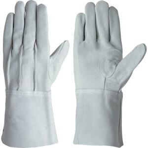 TR V v wDt 107AK11cm () 1o