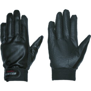 TR yMG[X Pp^[WINTER W-3 M () 1o