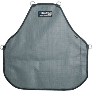 TR HEX ARMOR �v���e�N�e�B�u �G�v���� AP102222 (����) 1��
