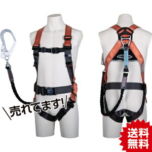 TR c RAn[lX mr IW MTCY n[lX^ė~ (xgtE[h1{) dH () #tn[lX e ė~p [h