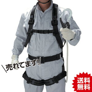 TR g[[ZteB tn[lX [v (^Cv1) VO[h n[lX^ė~ (xgtE[h1{) () g[[ZteB[