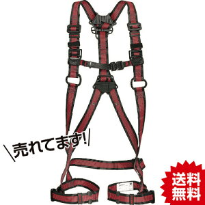 TR ^W} n[lXZA C STCY n[lX^ė~p (xgȂ) AZAS-LRE () TJMfUC