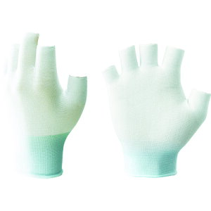 TR V[ w؂Ci[20 B0950 t[TCY () 1