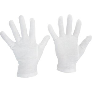 TR ~hS ȃXX (}`Ȃ) 12o MTCY () 1