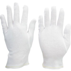 TR ~hS ȃXX (}`Ȃ) 12o LLTCY () 1