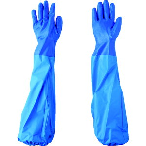 TR GXe[ NO660jgfu[rJo[tL () 1o