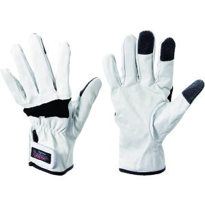 TR yMG[X ؊v XL[tH[X ubN M () 1o