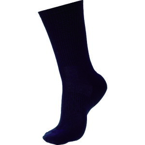 TR ~hS SCpC tBbg\bNX ubN () 1