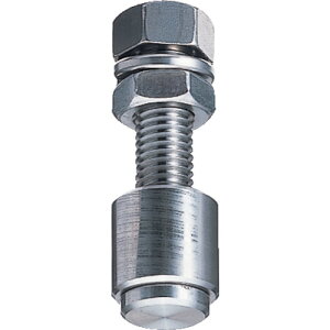 TR ダイケン 3号ステンレスドアハンガー用M12ボルトタイプガイドローラ 注文単位 : 1個