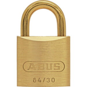TR ABUS ^J싞 84MB-30  P : 1