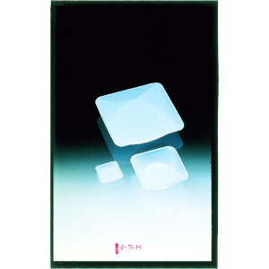 TR Tv ʎMS (oXg[) 500