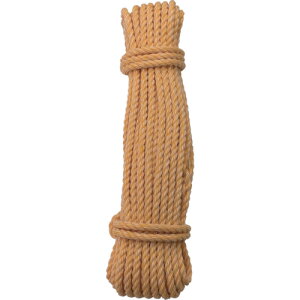 TR ^JCN [v KPgbN[v 6×15m