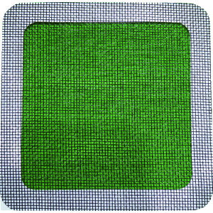 TR IWATANI ni Ԍ˕CV[g ubN` 2