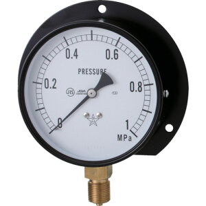 TR �E�� �X�^�[ (���͌v) (B�g���^�E��75) ���̓����W0.0�`6.00MPa