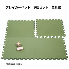 プレイカーペット（9枚セット） 童具館 積み木 ワクブロック WAKU-BLOCK45