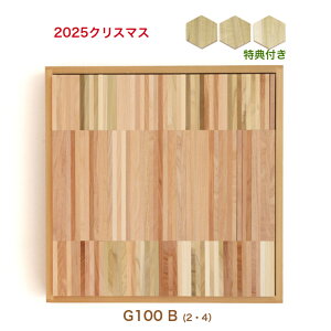 y2025NNX}XEʌE[2026Nčz WAKU-BLOCK45 G100B(2E4j  ϖ ςݖ waku-block  NubN45 ԔF ؂̂ ؐ