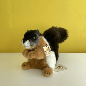 ~PX ʂ ㎿ P[Z   nhCh hCc  0 1 2 3 4 5 v[g