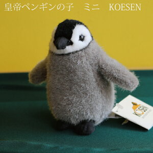 cyM̎qi~jj ؂̂ ʂ ㎿ P[Z yM   nhCh hCc  0 1 2 3 4 5 v[g